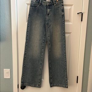Pac Sun Casey Low Rise Baggy Jeans Size 25